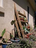 Yard - 04