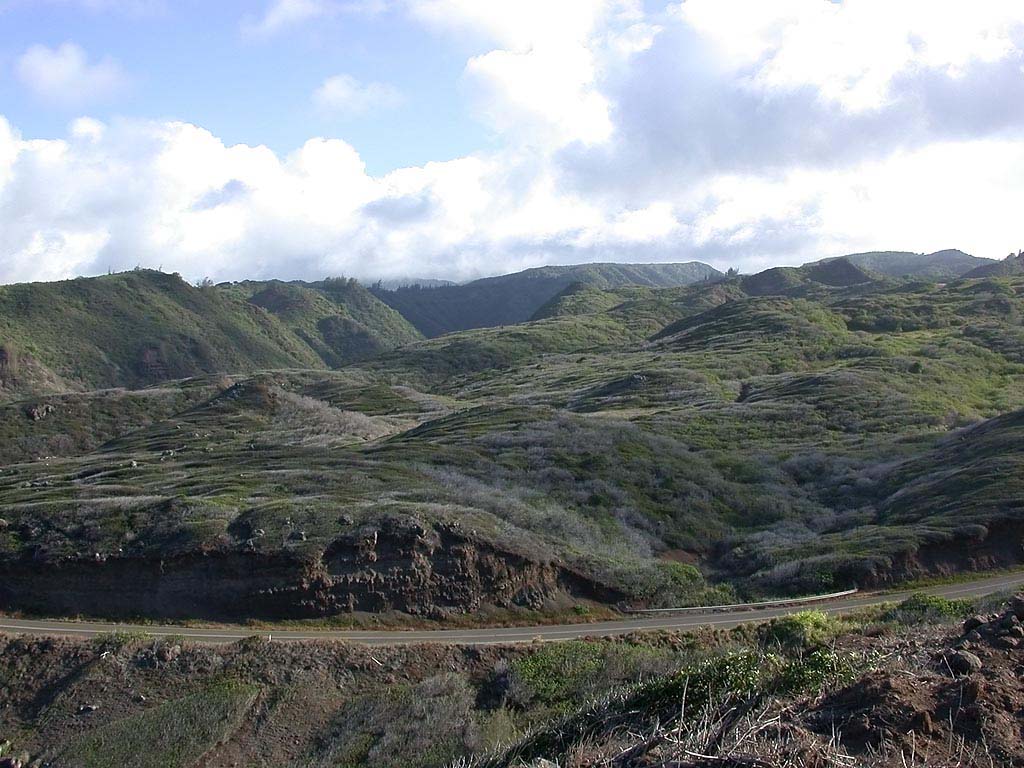 DSCN0306